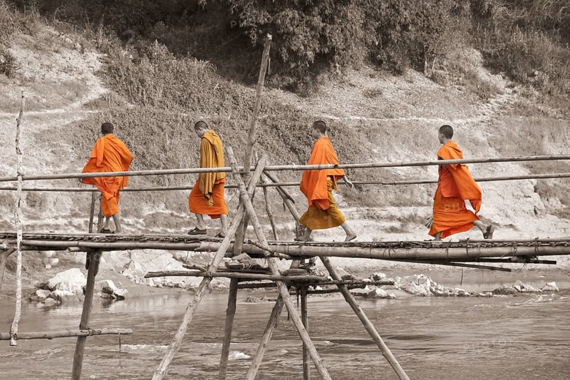 A group of young buddhist monks walking on a bamboo bridge across the Nam Khan river