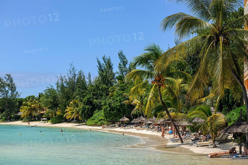 Beach with palm trees Coconut palms