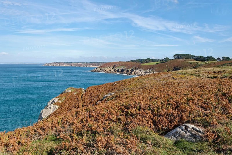 Heathland and rocky coast at Pointe du Millier