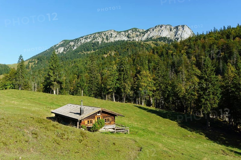 Orterer Alm in front of Benediktenwand