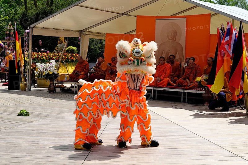 Chinese dragon at the Vesak festival of the Thai community in the Westpark