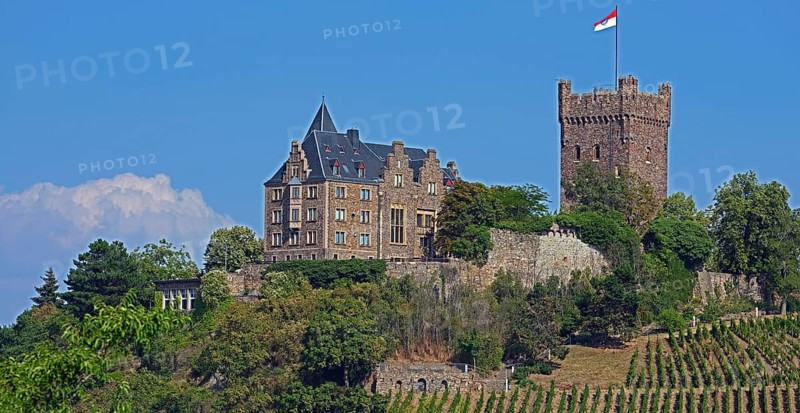 Klopp Castle