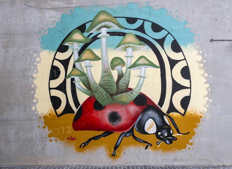 Shroomy Ladybug mural by Noora Al Mansoori