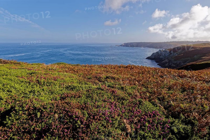 Heathland and rocky coast at Pointe de Castelmeur