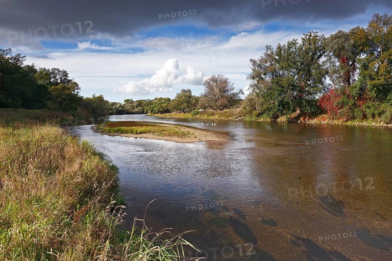 Gravel bank in the Mulde River