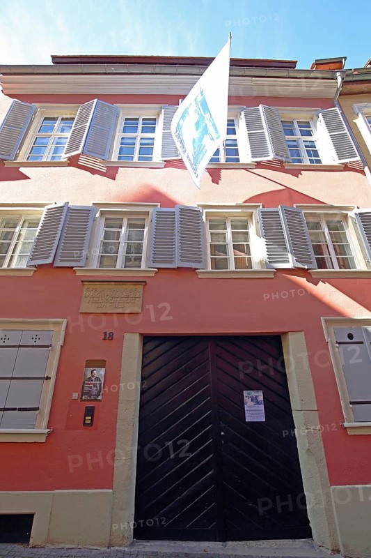 Friedrich Ebert House with flag