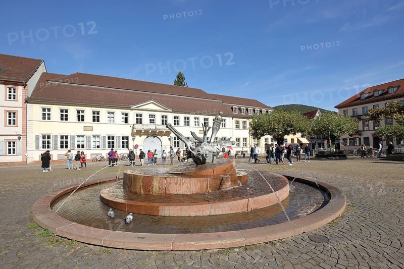 Sebastian Minster Fountain and University Building