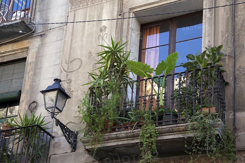 Balcony garden with palms in the Barri Gotic