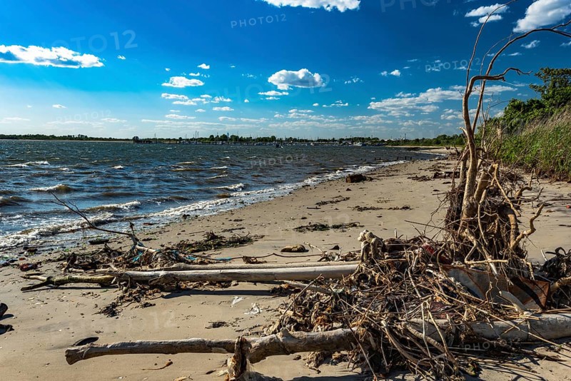 The Barren Island shore on the side of the Dead Horse Bay