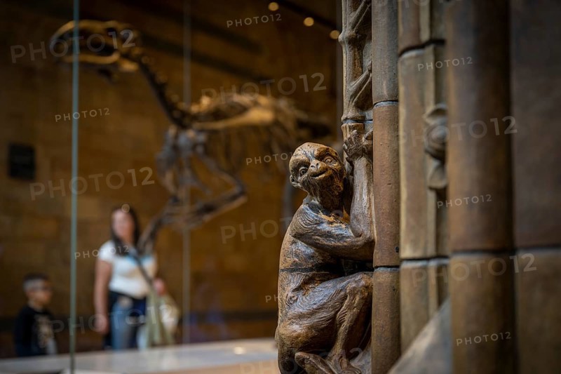 Monkey sculpture and dinosaur skeleton
