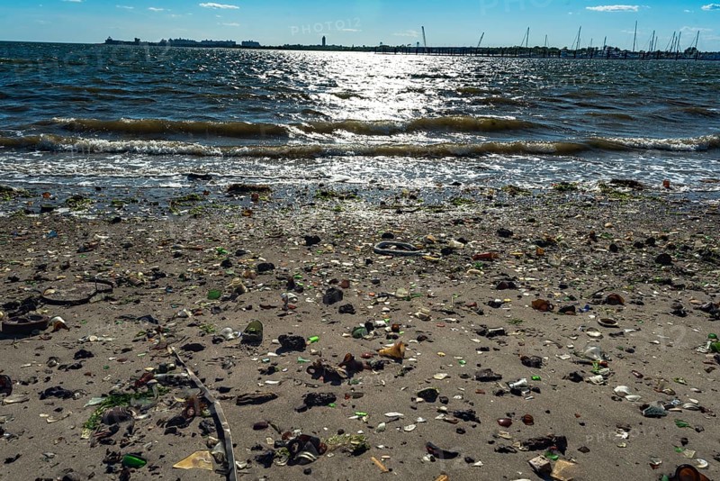 The Barren Island shore on the side of the Dead Horse Bay