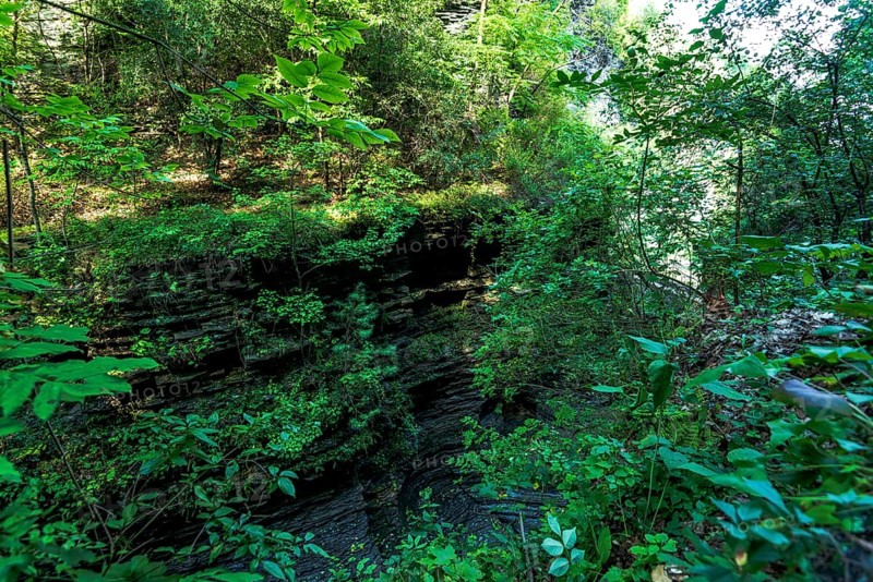Watkins Glen State Park: Gorge Trail entrance and tunnel