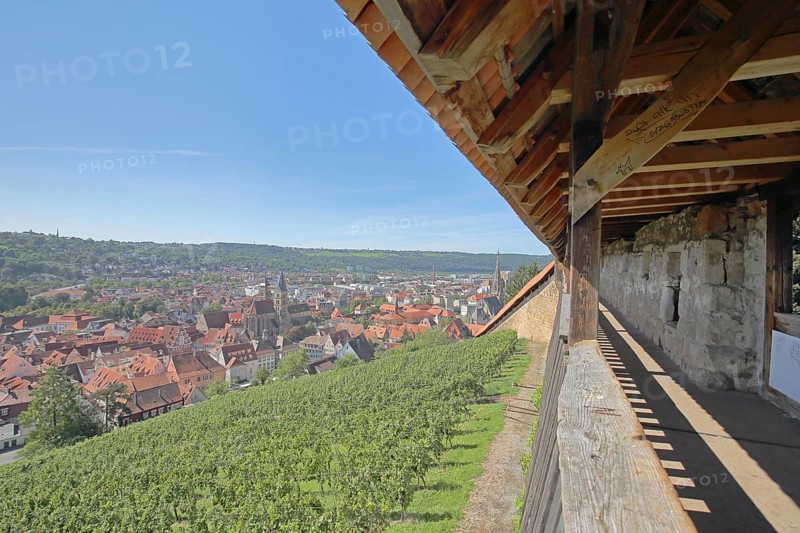 Castle steps and townscape with Gothic town church