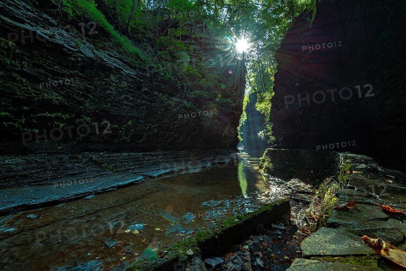 Watkins Glen State Park: Gorge Trail