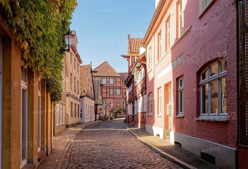 Half-timbered houses on the Elbstrasse in the old town of Lauenburg on the Elbe. Duchy of Lauenburg