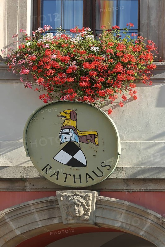 Town coat of arms with floral decoration on the town hall