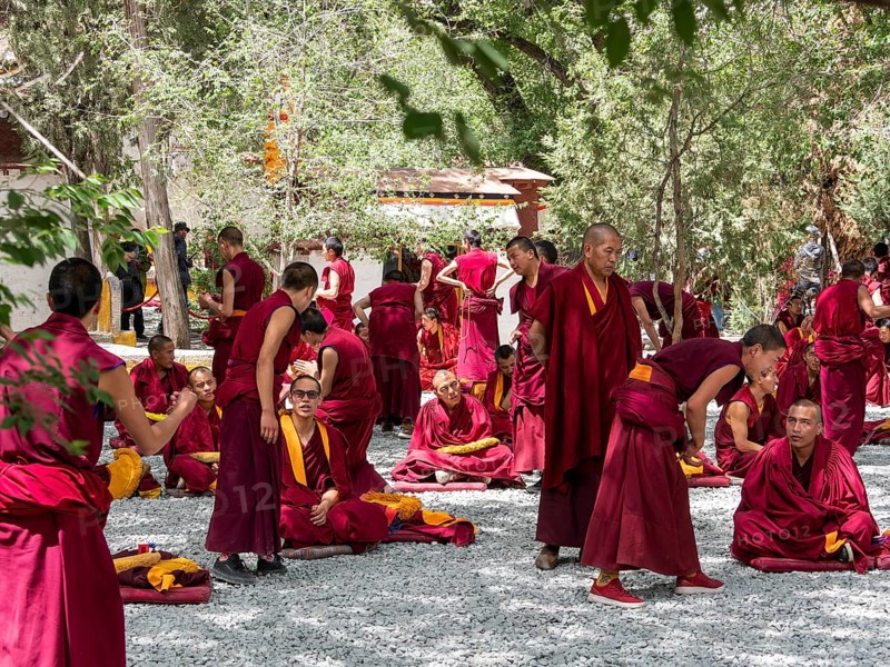 Monk discussion at Sera Monastery