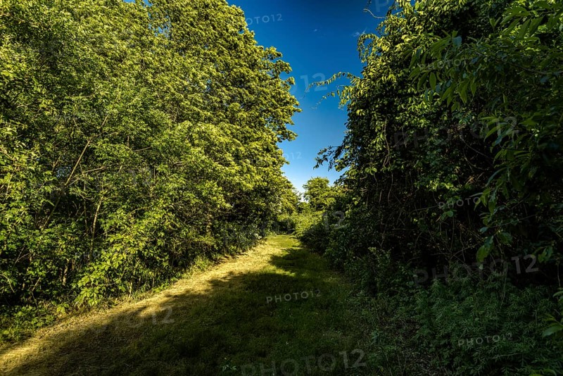 On the Millstone Trail towards the Dead Horse Bay off the Barren Island and Floyd Bennett Field. Brooklyn