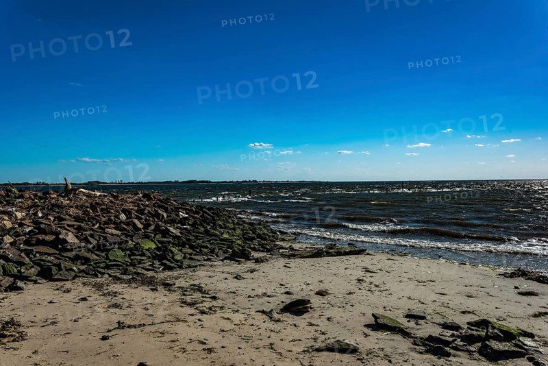 On the Millstone Trail towards the Dead Horse Bay off the Barren Island and Floyd Bennett Field. Brooklyn