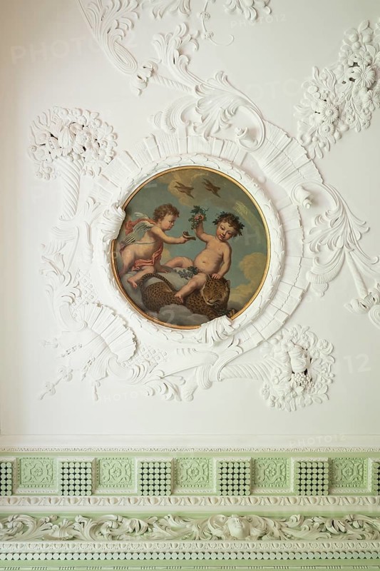 Stucco ceiling and paintings