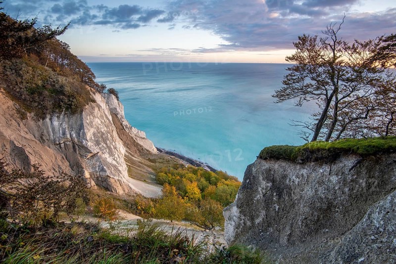 Moens Klint chalk cliff