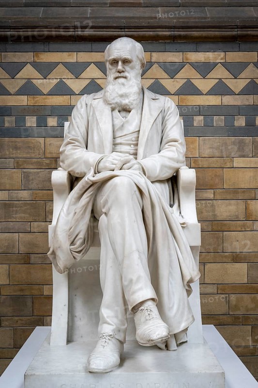 Naturalist Sir Charles Darwin