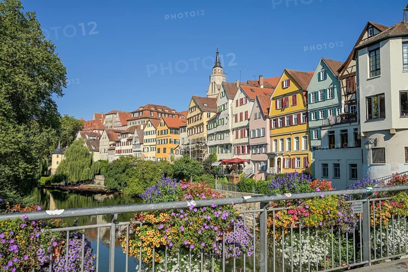 Flowers at the Eberhardsbruecke