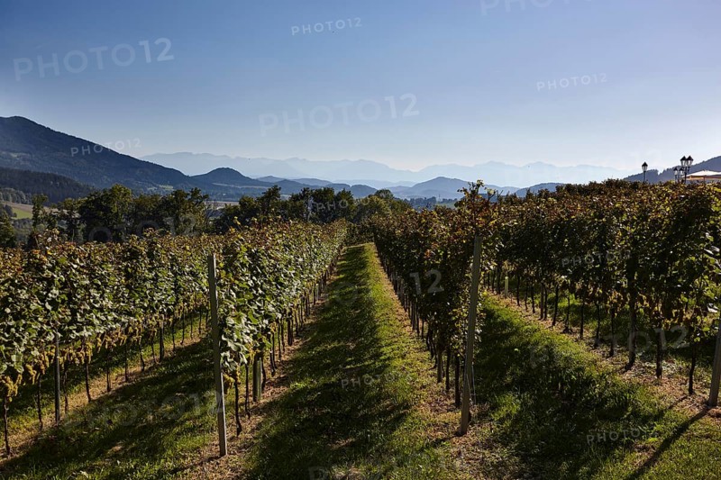 Taggenbrunn Castle Winery