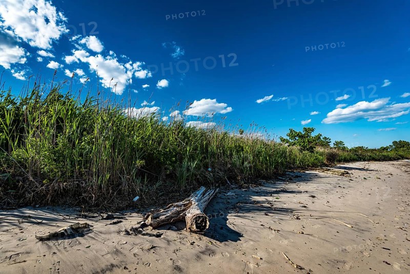 On the Millstone Trail towards the Dead Horse Bay off the Barren Island and Floyd Bennett Field. Brooklyn