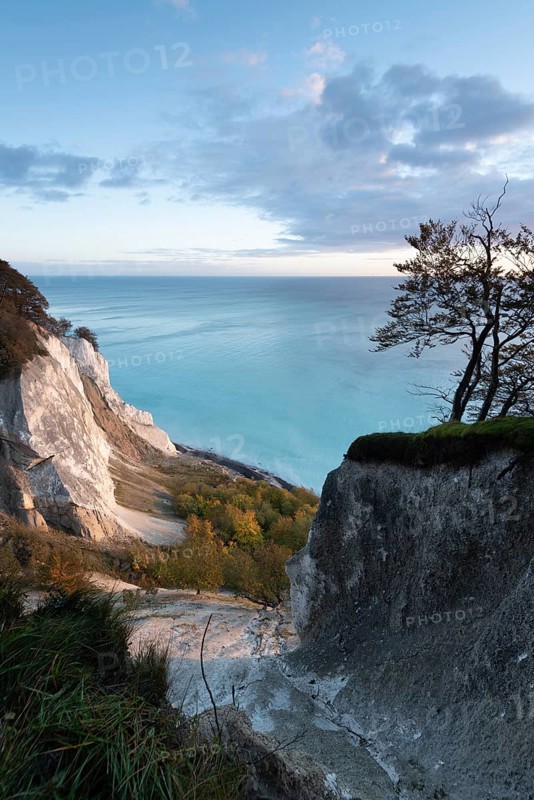 Moens Klint chalk cliff