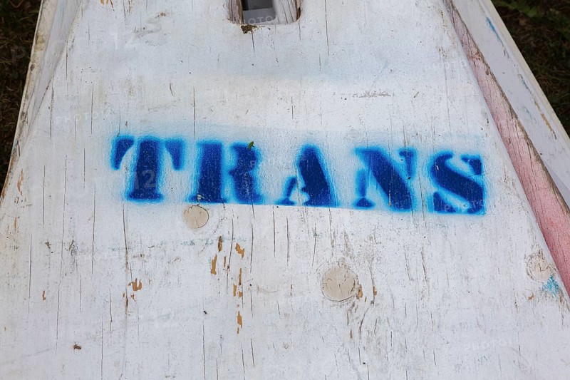 Painted blue Trans word on white wooden surface