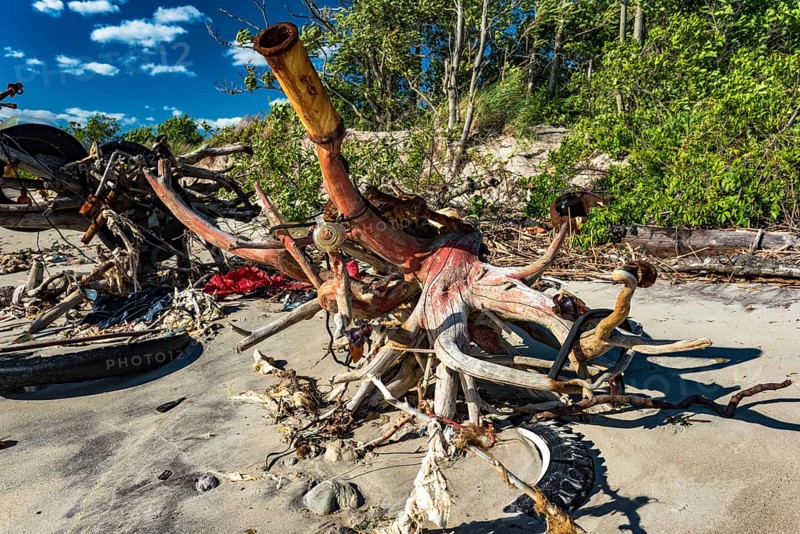 The Barren Island shore on the side of the Dead Horse Bay