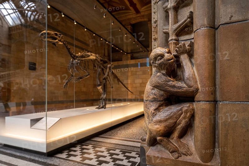 Monkey Cult Track and Dinosaur Skeleton