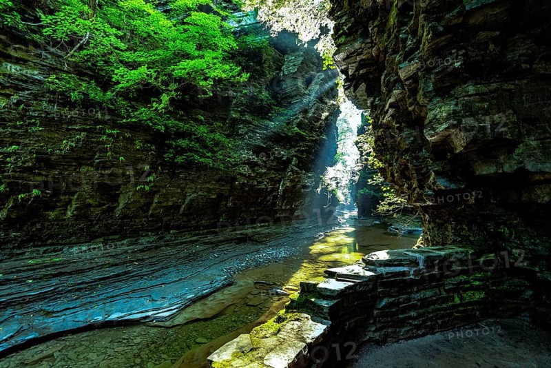 Watkins Glen State Park: Gorge Trail