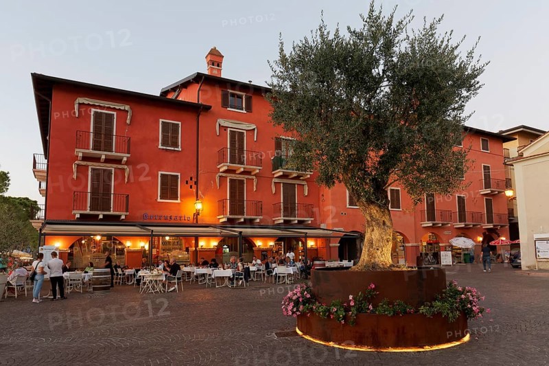 Square with olive tree and restaurant Berengario