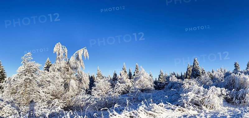 Snowy landscape in the Black Forest near Baiersbronn