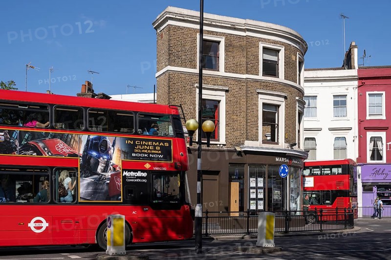 Red double-decker buses