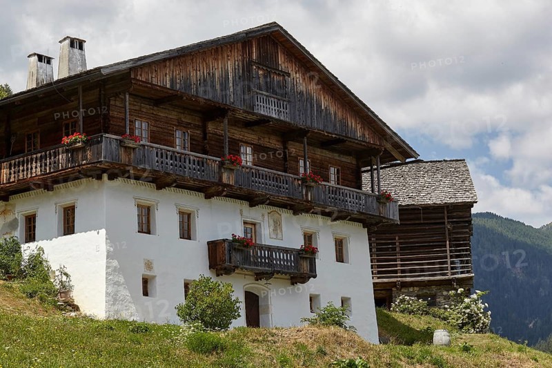 Farm in Nostra