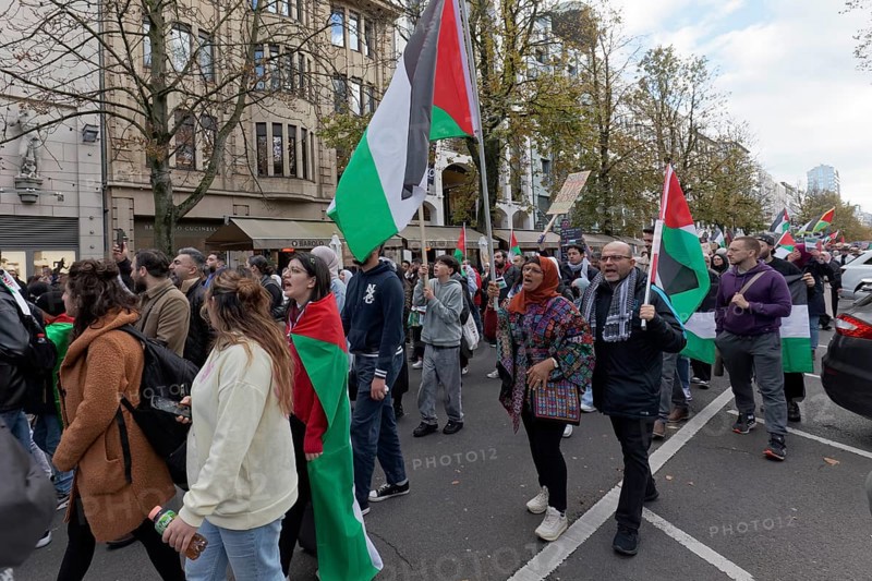 Demo participants with Palestine flags