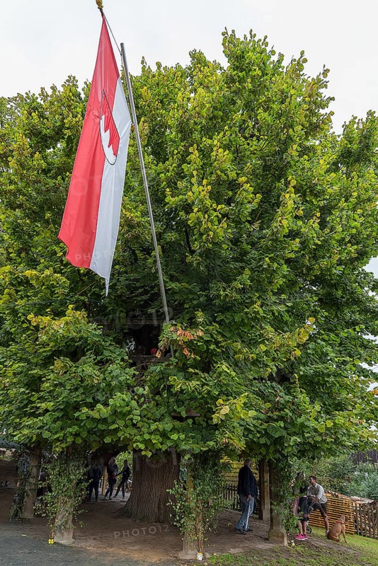Franconian flag at the historic dance lime tree with dance floor