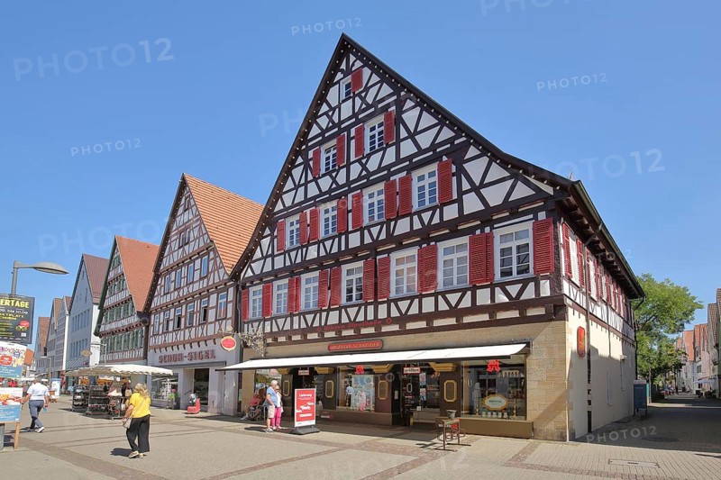 Half-timbered houses and people