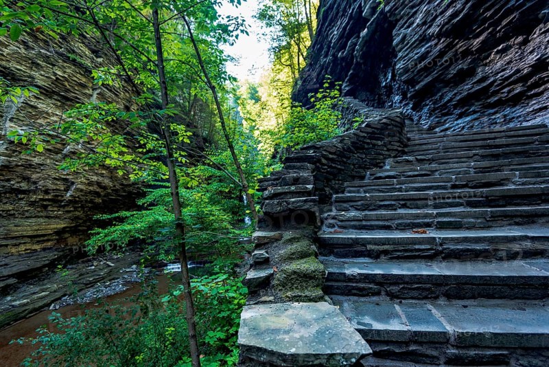 Watkins Glen State Park: Gorge Trail