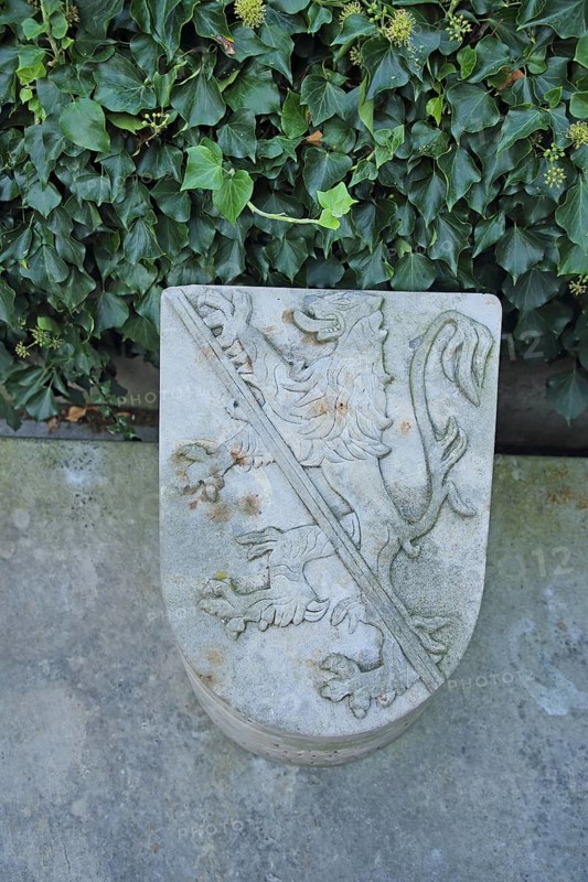 Stone town coat of arms with ivy