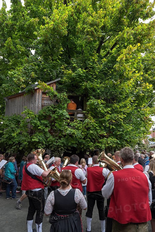 Brass band in front of the dance lime tree at the traditional dance lime tree festival