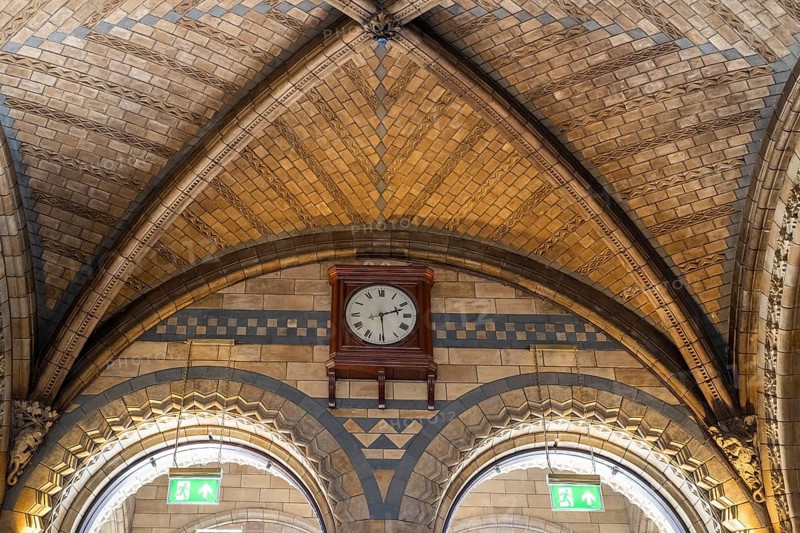Cross-ribbed vault