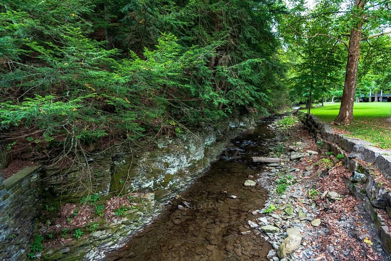 Robert H. Treman State Park: Gorge Trail. Tompkins County