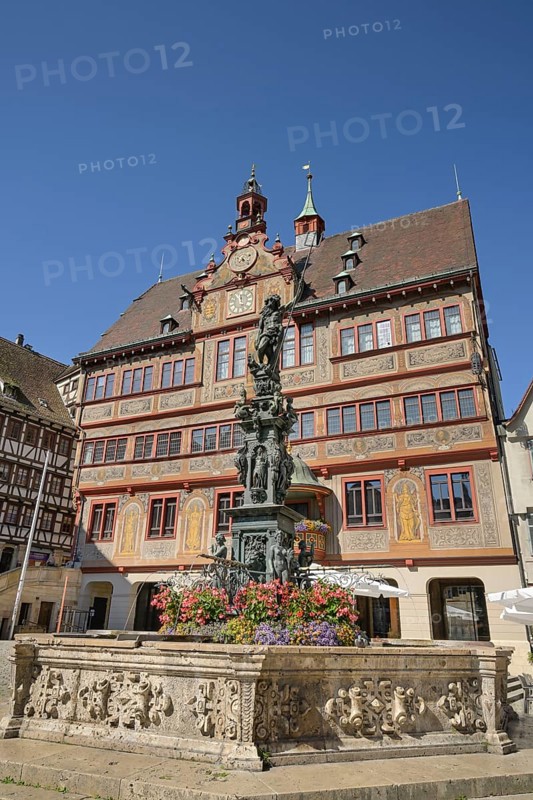 Neptune Fountain