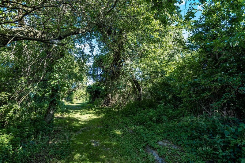 On the Millstone Trail towards the Dead Horse Bay off the Barren Island and Floyd Bennett Field. Brooklyn