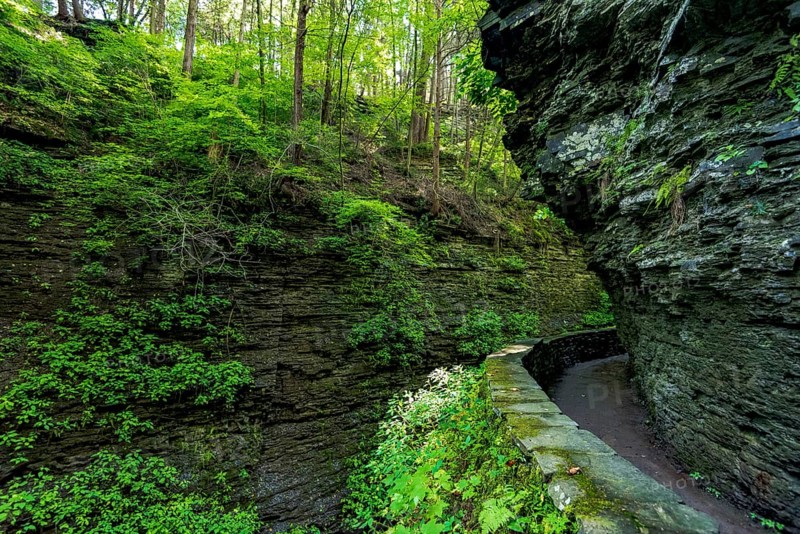 Watkins Glen State Park: Gorge Trail