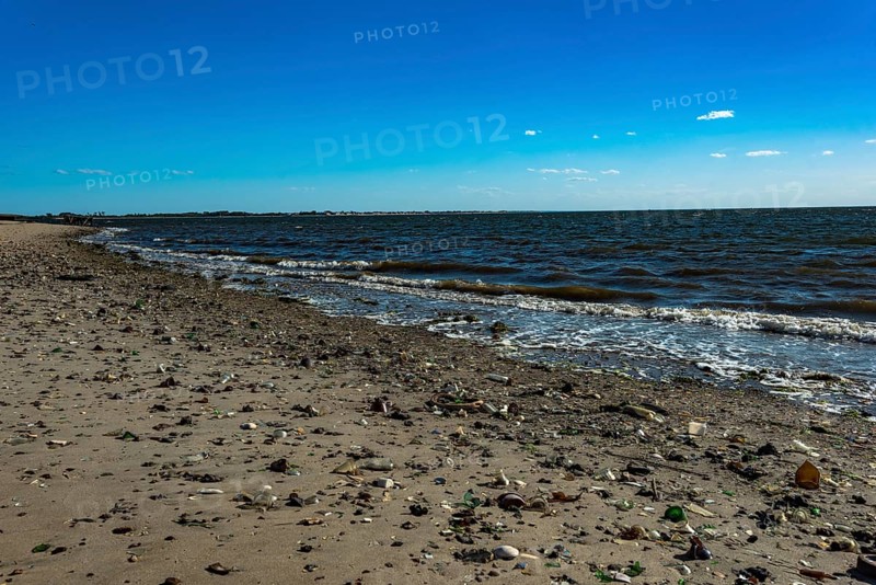 The Barren Island shore on the side of the Dead Horse Bay
